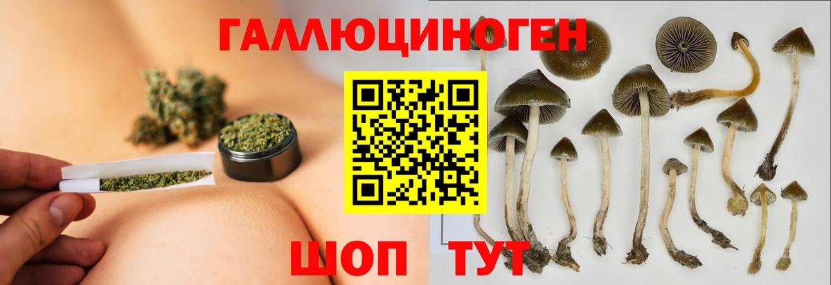 Сланцы  где найти наркотики  Вход с VPN  Псилоцибиновые грибы MAGIC MUSHROOMS 